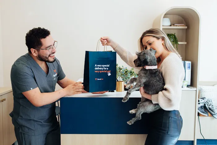 Bond Vet - Rye Brook 7