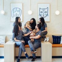 Bond Vet - Rye Brook ico