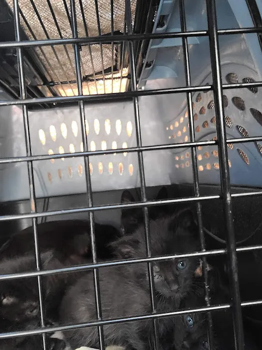 North Regent Animal Clinic 3