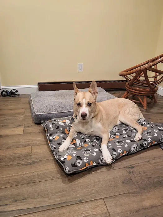 North Regent Animal Clinic 1
