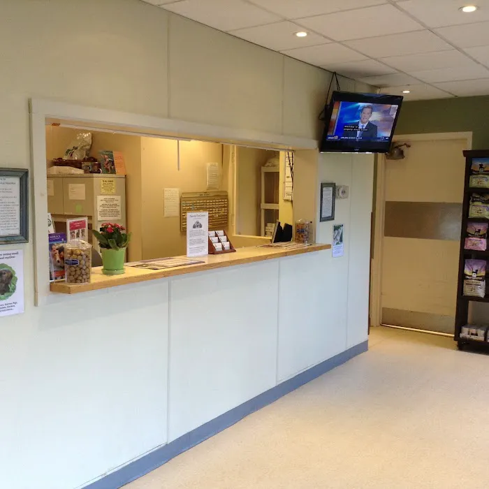 Greenwich Animal Hospital 12