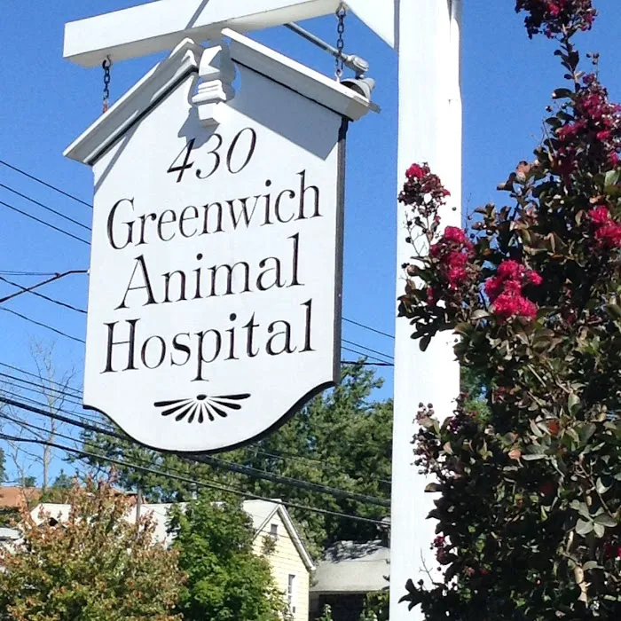 Greenwich Animal Hospital 12