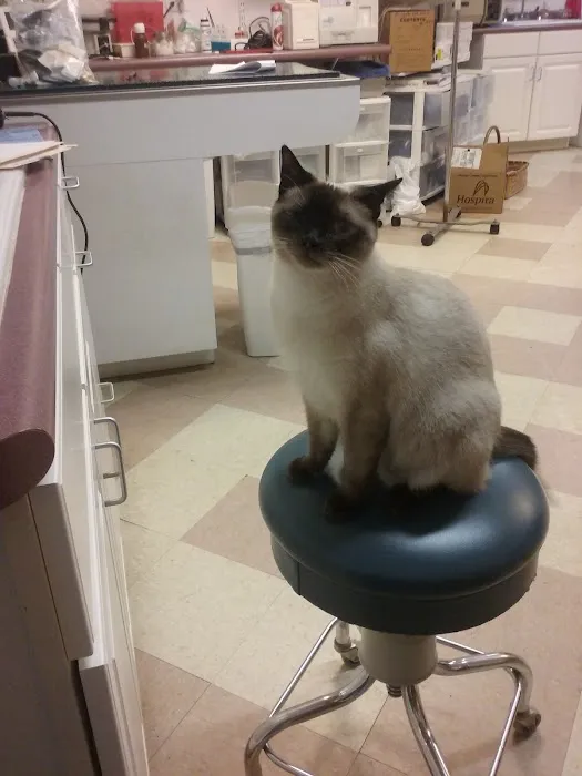 Pisgah Pet Care Animal Hospital 5