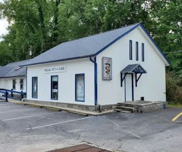 Pisgah Pet Care Animal Hospital
