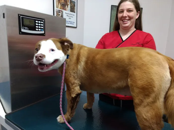 Pisgah Pet Care Animal Hospital 4