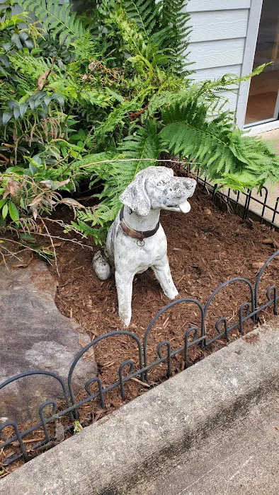 Brevard Animal Hospital 4