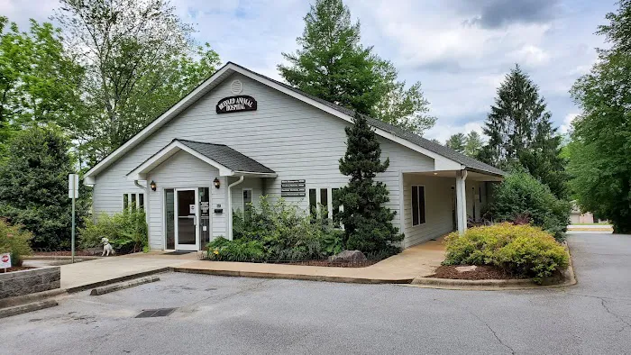 Brevard Animal Hospital 2