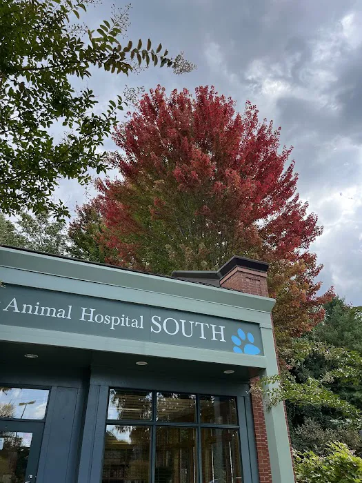 Animal Hospital South: Murr Emily DVM 6
