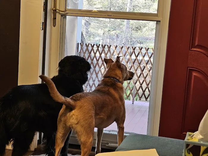 Animal Hospital South 6