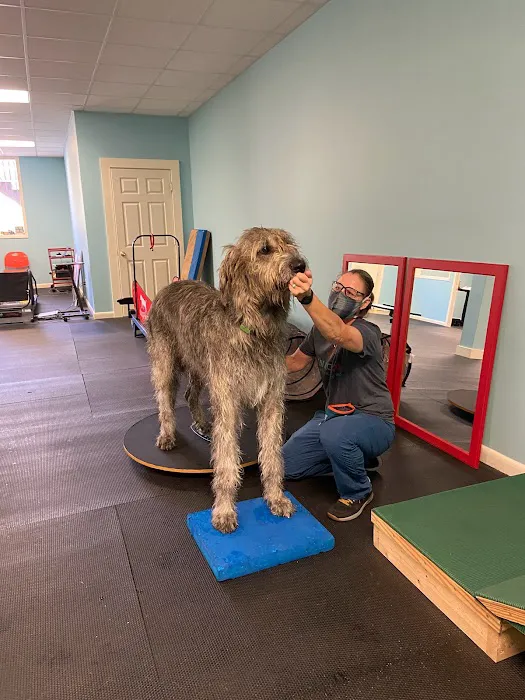 WagHab: Asheville Dog Exercise and Aquatic Gym 5