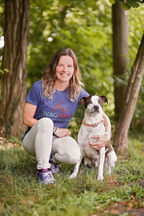 WagHab: Asheville Dog Exercise and Aquatic Gym 3