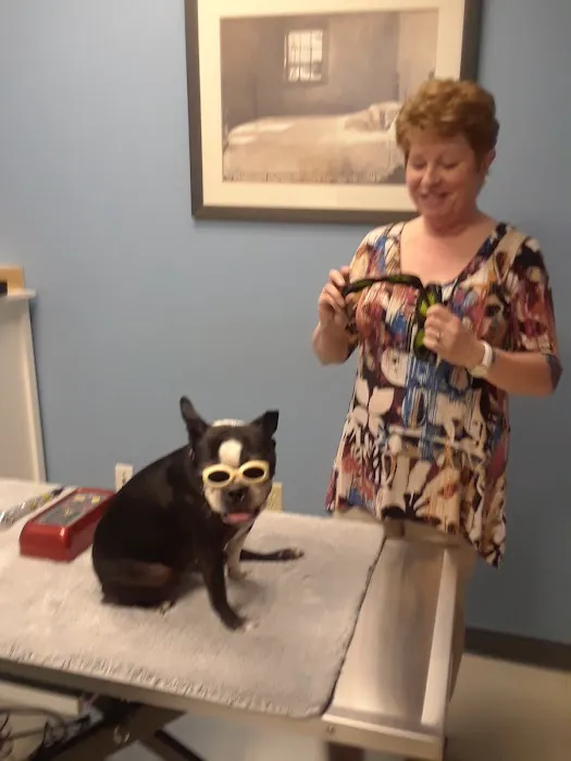 Asheville Animal Acupuncture 5