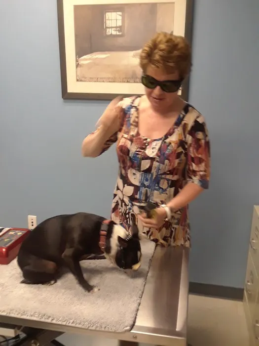 Asheville Animal Acupuncture 3