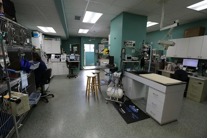 Charlotte Street Animal Hospital 2