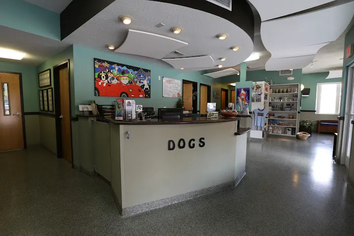 Charlotte Street Animal Hospital 7