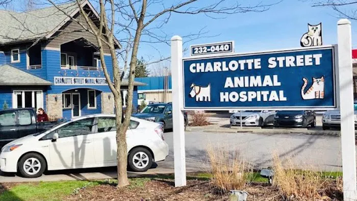 Charlotte Street Animal Hospital 10