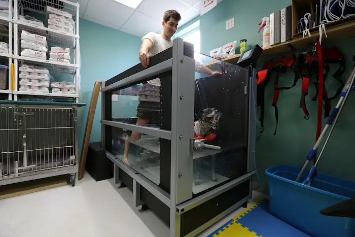 Charlotte Street Animal Hospital 8