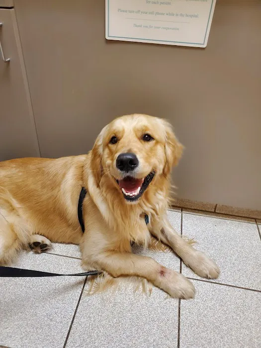 Animal Hospital of North Asheville 5
