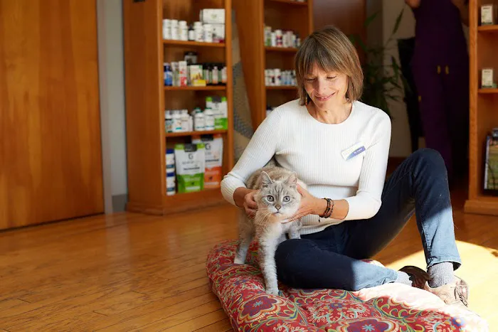 Sunvet Animal Wellness Clinic 2