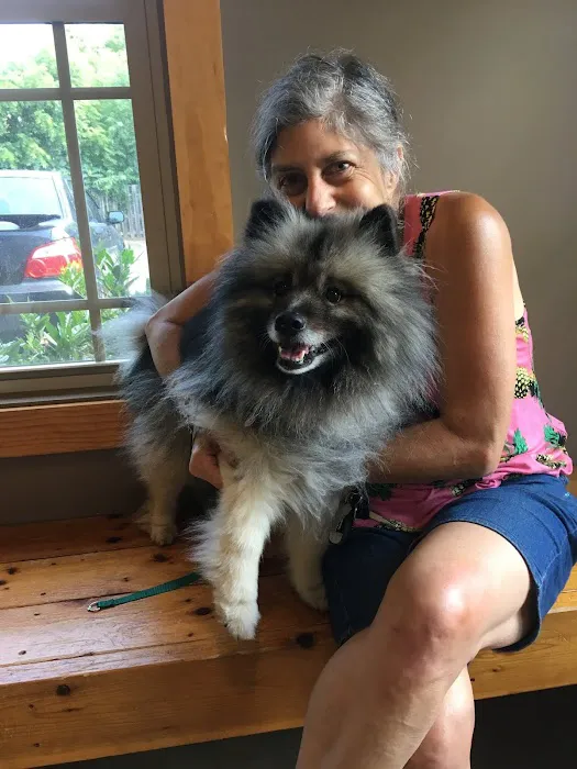Sunvet Animal Wellness Clinic 1