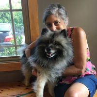 Sunvet Animal Wellness Clinic ico