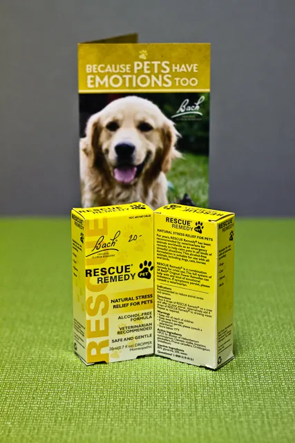 Sunvet Animal Wellness Clinic 7