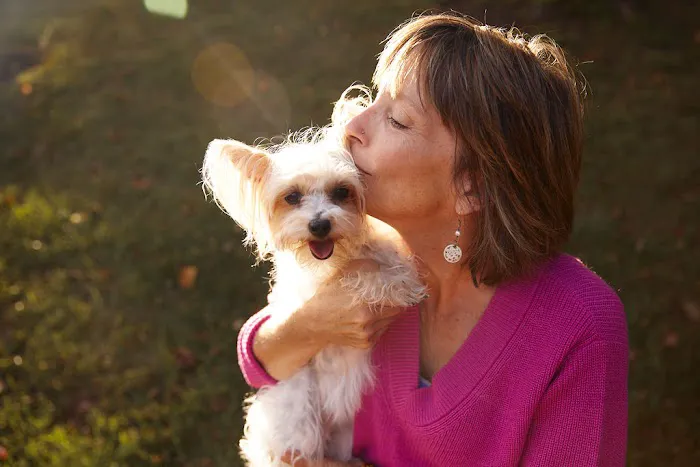 Sunvet Animal Wellness Clinic 5