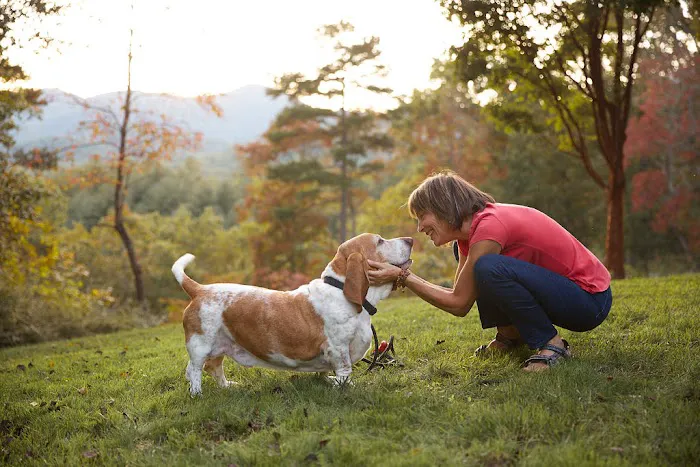 Sunvet Animal Wellness Clinic 10