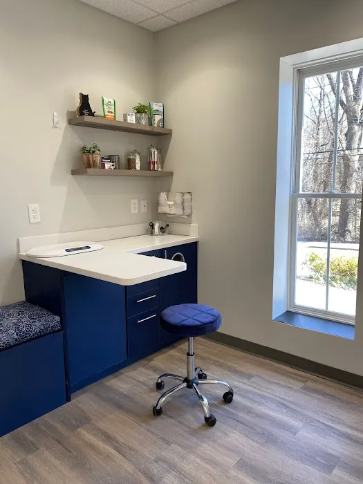 Cat Clinic of Asheville 12