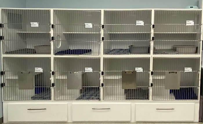 Cat Clinic of Asheville 12