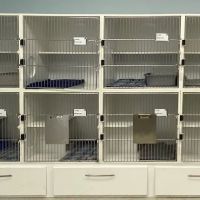 Cat Clinic of Asheville ico