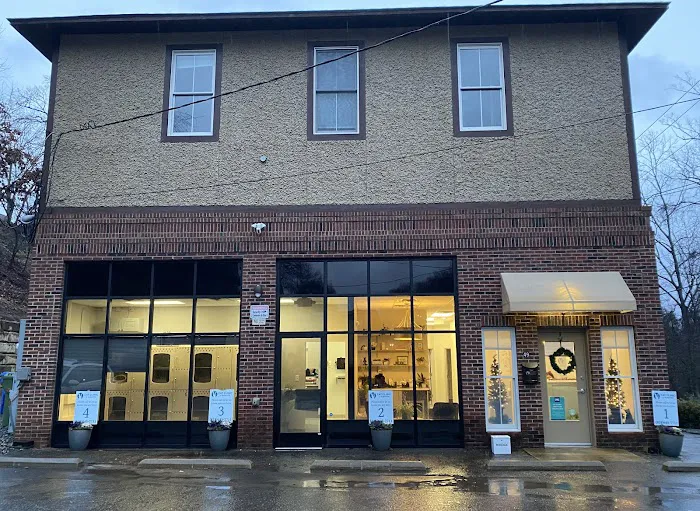 Cat Clinic of Asheville 12