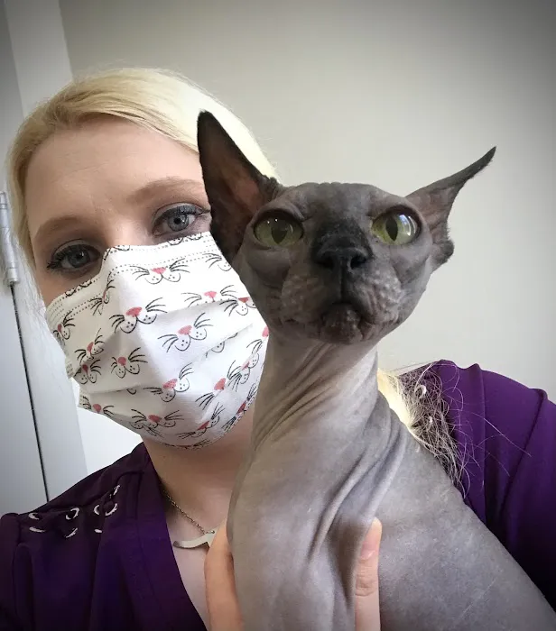 Cat Clinic of Asheville 12