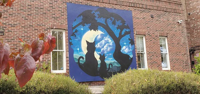 Cat Clinic of Asheville 12