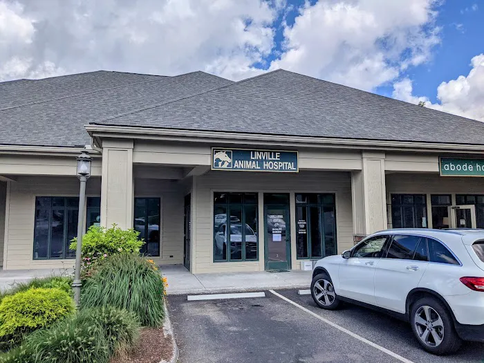 Linville Animal Hospital 3