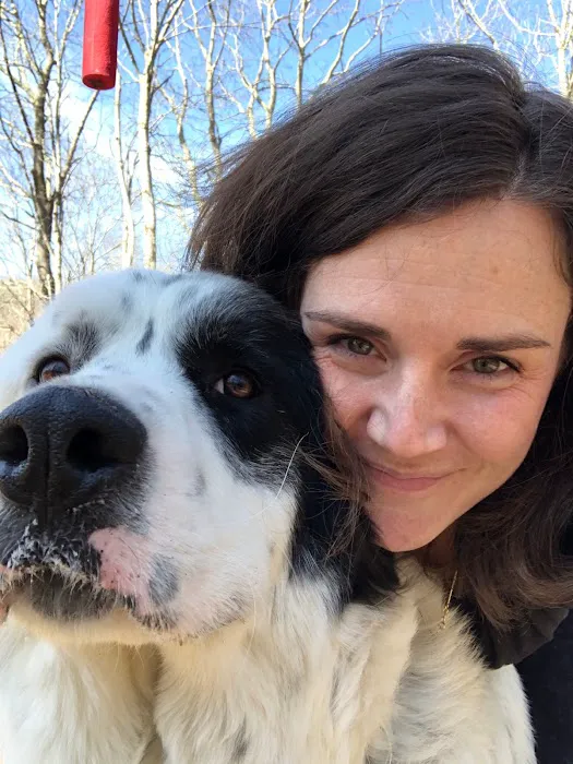 Blue Ridge Veterinary Clinic 10