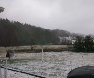 Roan Mountain Animal Hospital