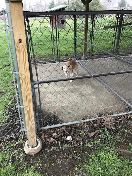 Roan Mountain Animal Hospital 9