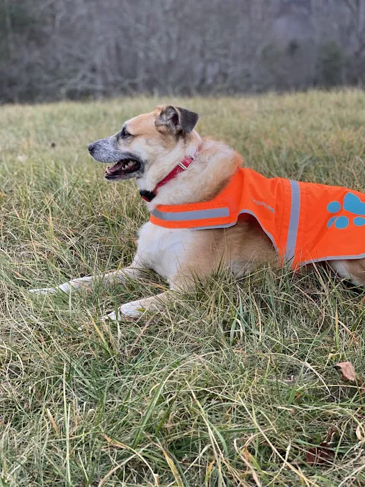 Roan Mountain Animal Hospital 4