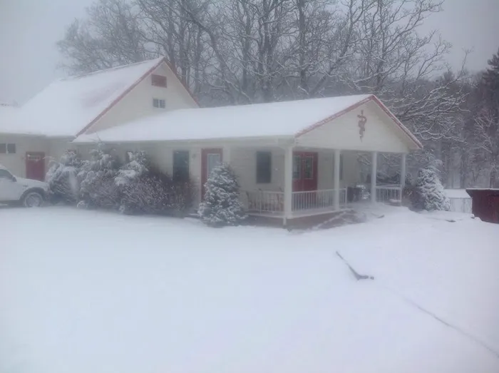 Roan Mountain Animal Hospital 7