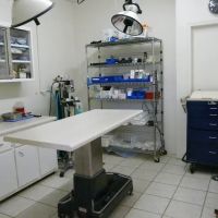 Roan Mountain Animal Hospital ico