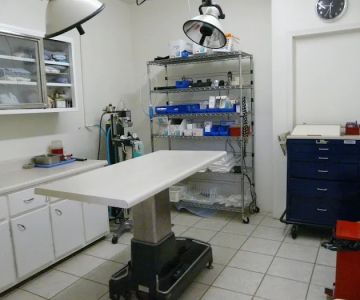 Roan Mountain Animal Hospital