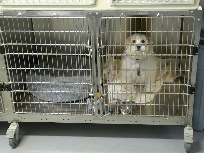 Roan Mountain Animal Hospital 3