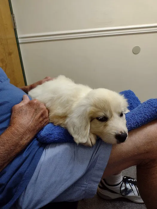 Animal Hospital of Boone 5
