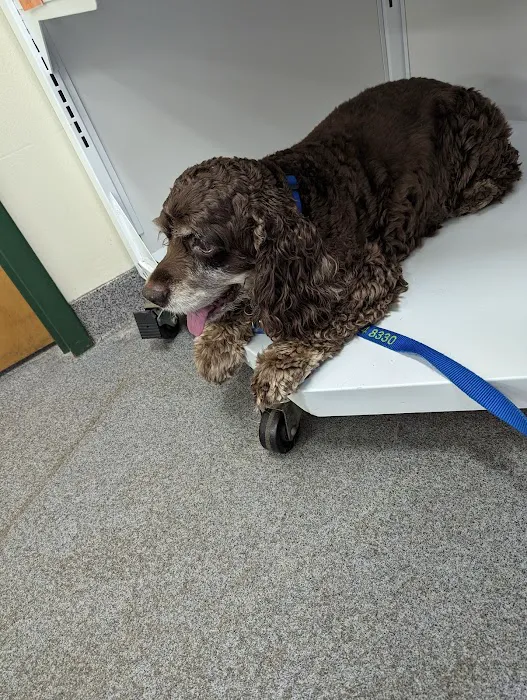 Animal Hospital of Boone 9