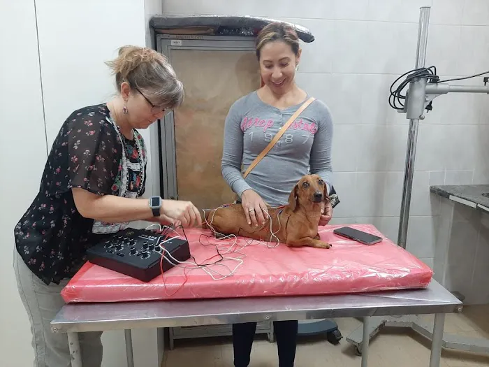 BALANCE Integrative Veterinary Clinic 1