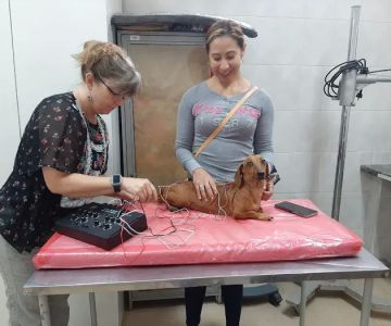 BALANCE Integrative Veterinary Clinic
