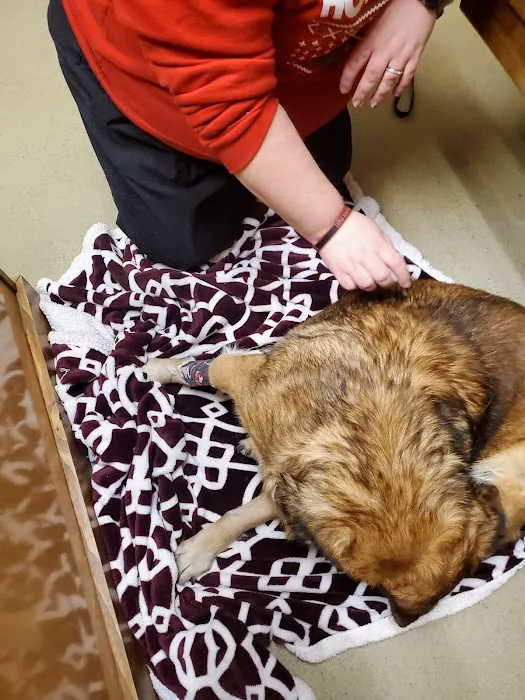 Animal Emergency Clinic of the High Country 1
