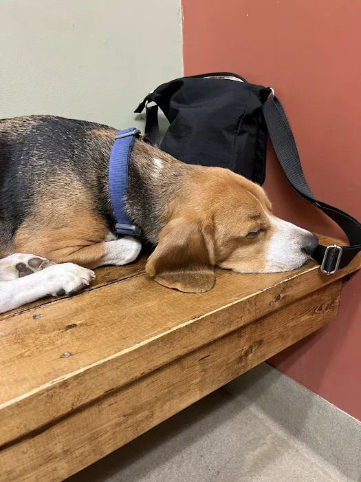 Animal Emergency Clinic of the High Country 3