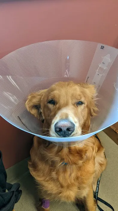 Animal Emergency Clinic of the High Country 4